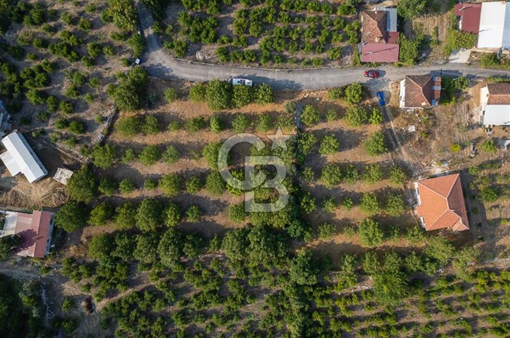 CB ARDENDEN ANTALYA FİNİKENİN CENNETİ GÖKBÜKTE SATILIK BAHÇE