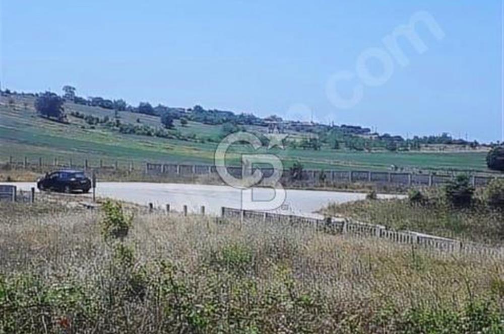 İznik Derbent köyünün en güzel arsası.