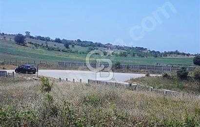 İznik Derbent köyünün en güzel arsası.