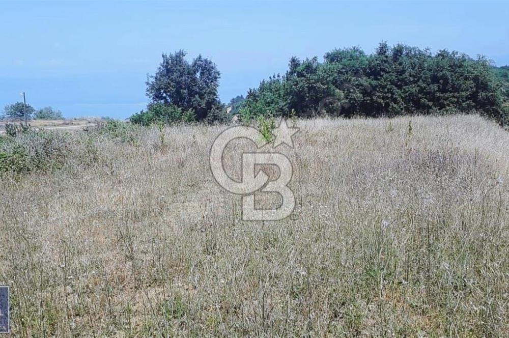 İznik Derbent köyünün en güzel arsası.