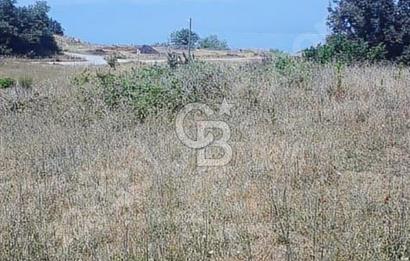 İznik Derbent köyünün en güzel arsası.