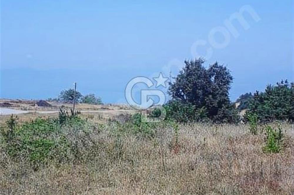 İznik Derbent köyünün en güzel arsası.