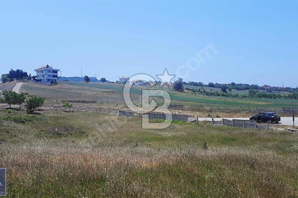 İznik Derbent köyünün en güzel arsası.