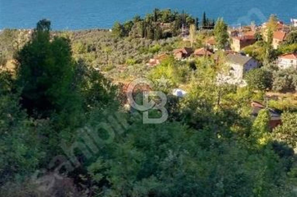 iznik Güllüce Muhteşem göl manzarasına sahip 1770 m satılık arsa