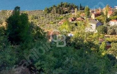 iznik Güllüce Muhteşem göl manzarasına sahip 1770 m satılık arsa
