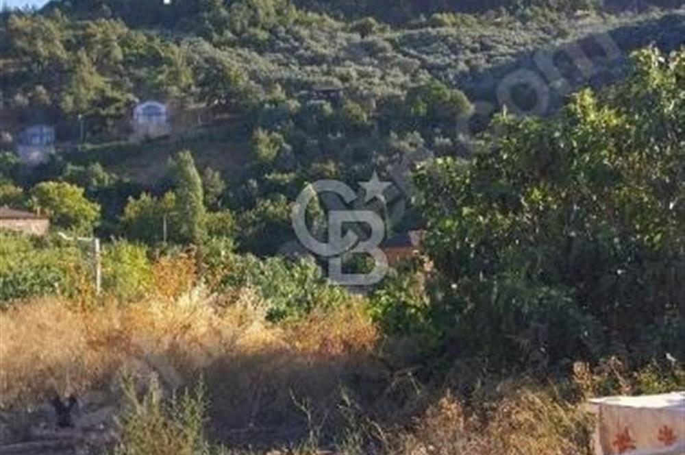 iznik Güllüce Muhteşem göl manzarasına sahip 1770 m satılık arsa