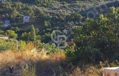 iznik Güllüce Muhteşem göl manzarasına sahip 1770 m satılık arsa
