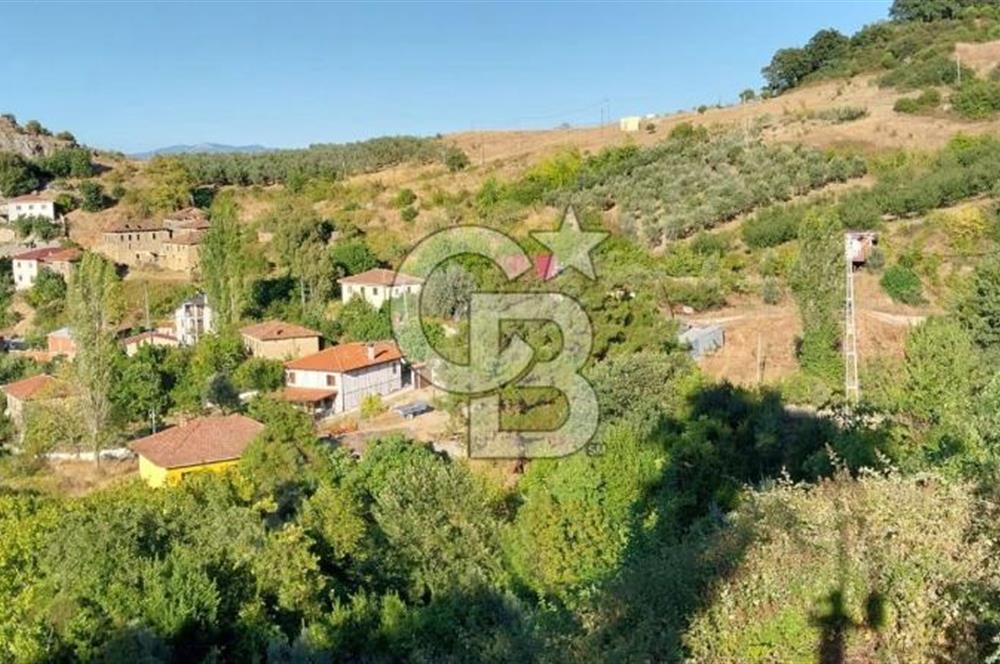 iznik Güllüce Muhteşem göl manzarasına sahip 1770 m satılık arsa
