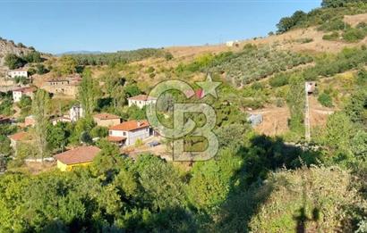 iznik Güllüce Muhteşem göl manzarasına sahip 1770 m satılık arsa