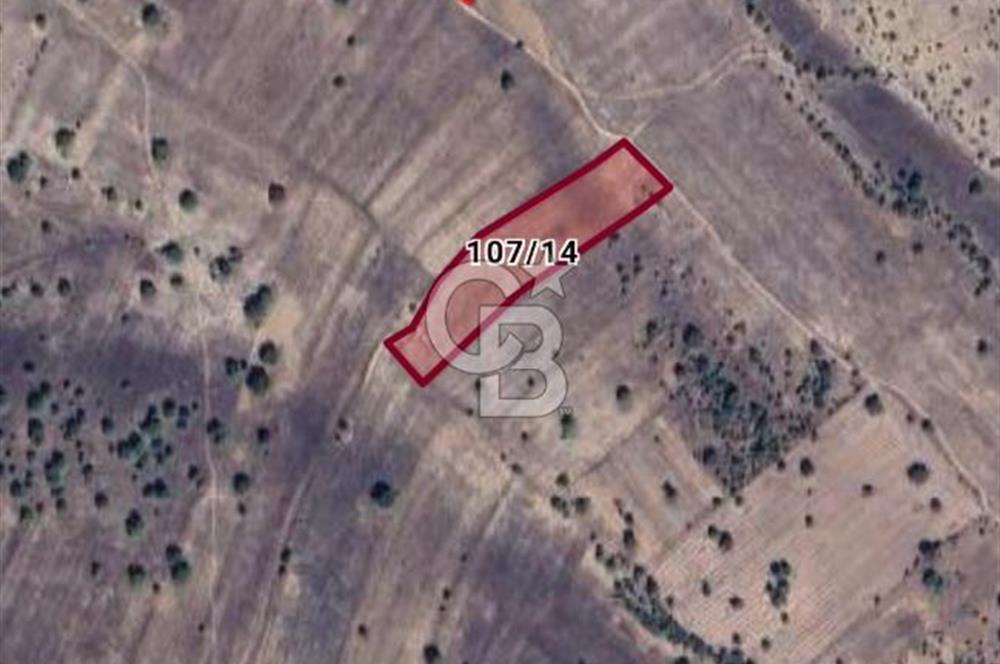 KÜTAHYA GEDİZ KAYA KÖY DE 10611 MT. ÇİFT YOLA CEPHE TARLA 