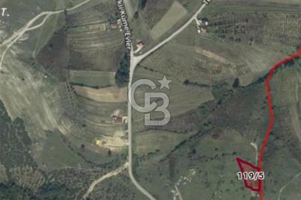 Kocaeli,Kandıra,Şerefsungur fırsat tarla