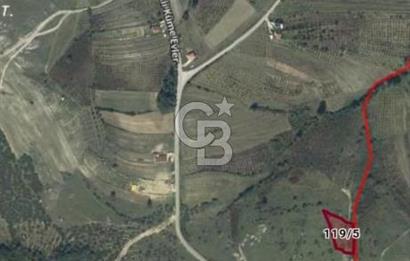 Kocaeli,Kandıra,Şerefsungur fırsat tarla