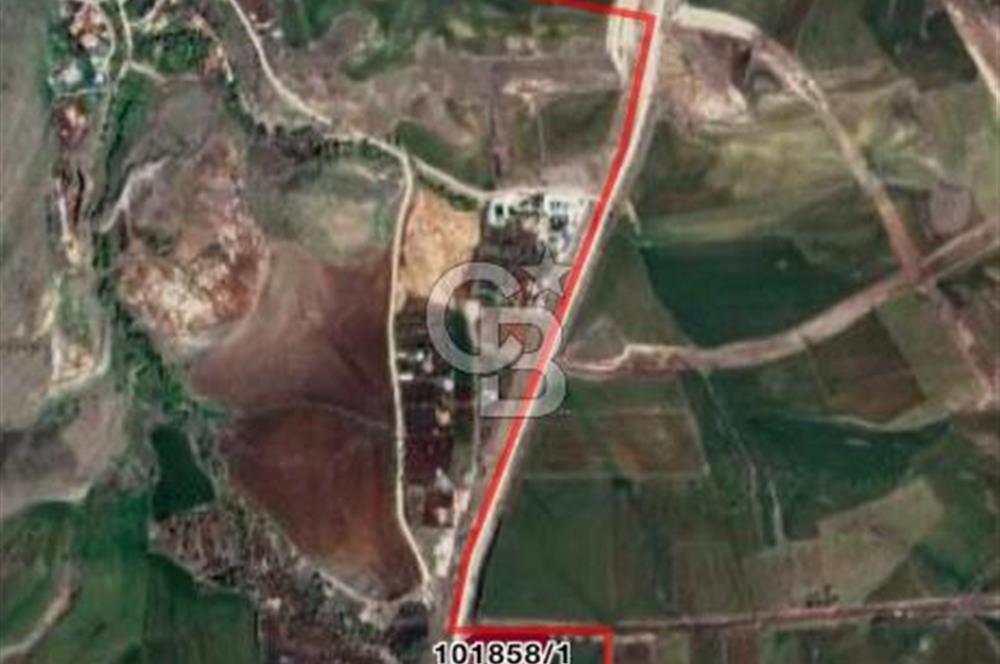 50LİK YOL ÜSTÜ KÖŞE PARSEL