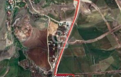 50LİK YOL ÜSTÜ KÖŞE PARSEL