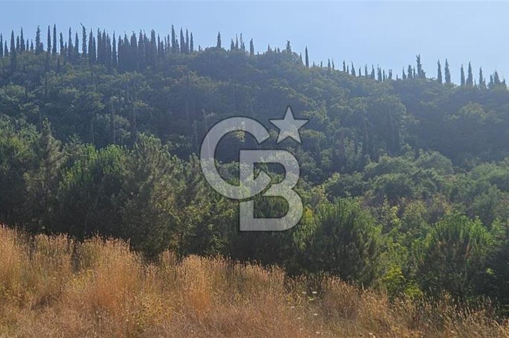 YALOVA MERKEZ SAMANLIDA 4 KAT YURT İMARLI SATILIK ARSA !