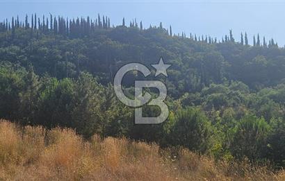 YALOVA MERKEZ SAMANLIDA 4 KAT YURT İMARLI SATILIK ARSA !