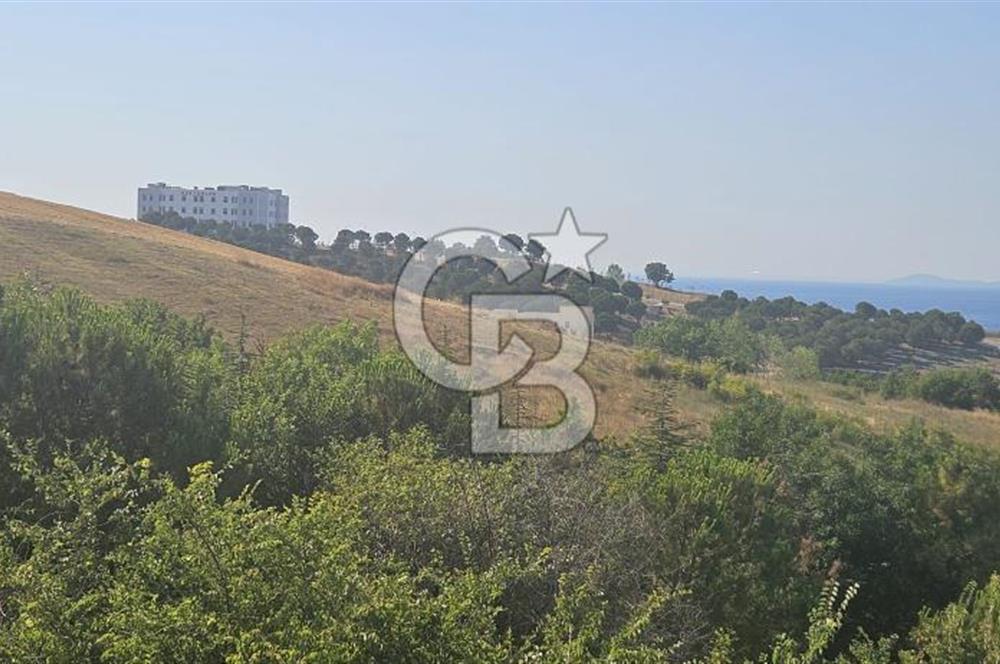 YALOVA MERKEZ SAMANLIDA 4 KAT YURT İMARLI SATILIK ARSA !