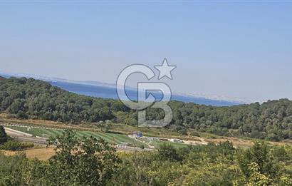 YALOVA MERKEZ SAMANLIDA 4 KAT YURT İMARLI SATILIK ARSA !