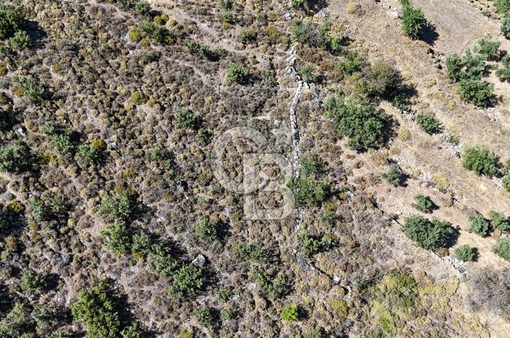 CB Marina'dan Satılık 1632m2 Bozburun'da Fırsat Tarla