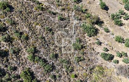 CB Marina'dan Satılık 1632m2 Bozburun'da Fırsat Tarla