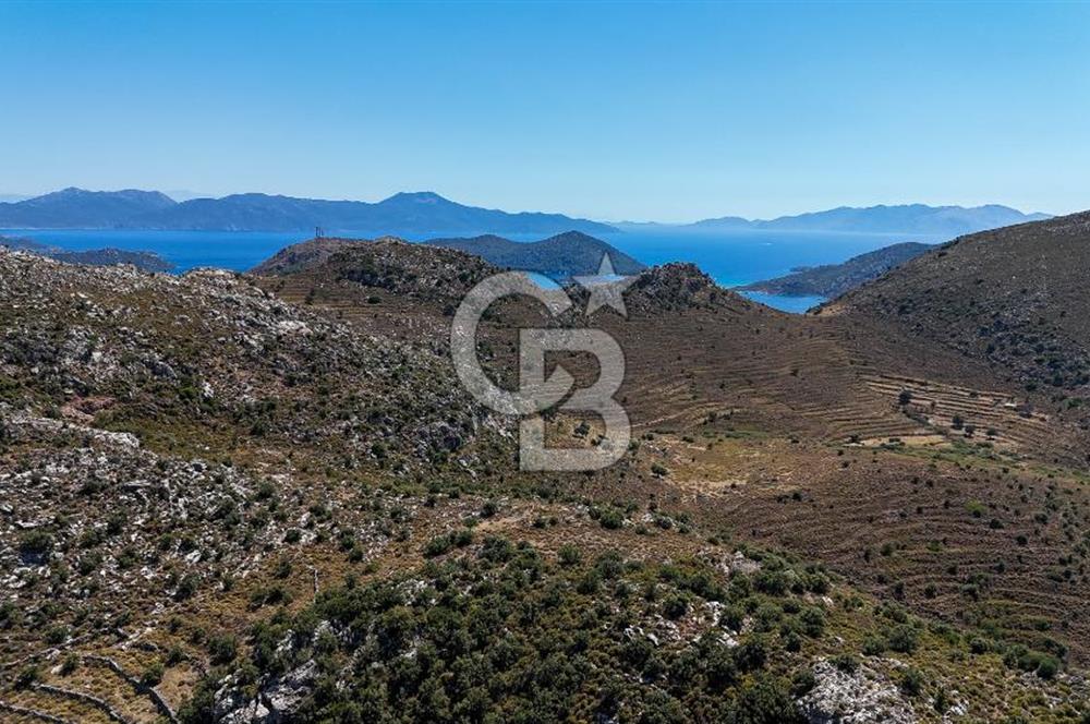 CB Marina'dan Satılık 1632m2 Bozburun'da Fırsat Tarla