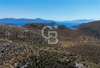 CB Marina'dan Satılık 1632m2 Bozburun'da Fırsat Tarla