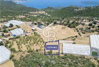 B ARDENDEN ANTALYA DEMRE HOYRANDA YATIRIMLIK SATILIK TARLA