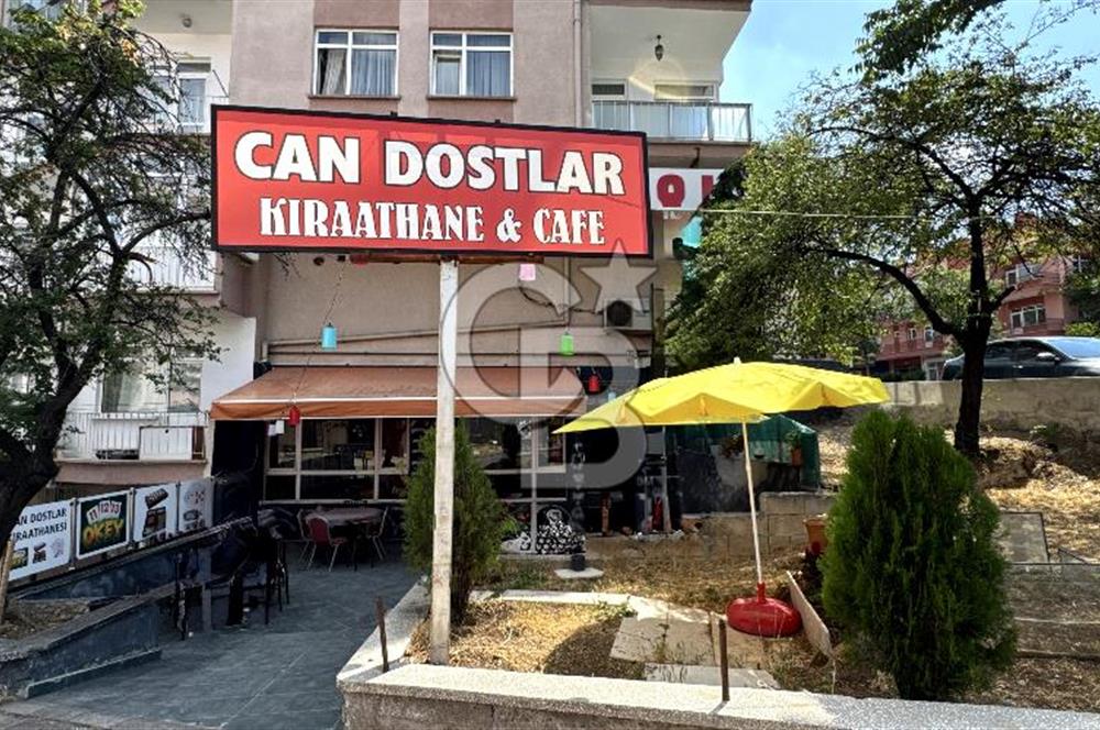 ANKARANIN KALBİNDE ÇAY OCAĞI