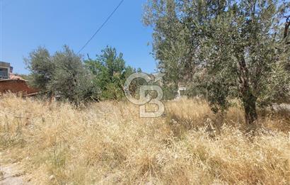 Satılık Müstakil Ev ve Arsa