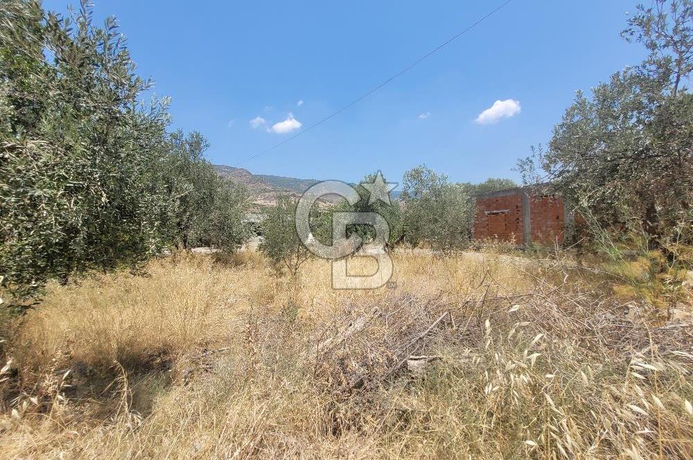 Satılık Müstakil Ev ve Arsa