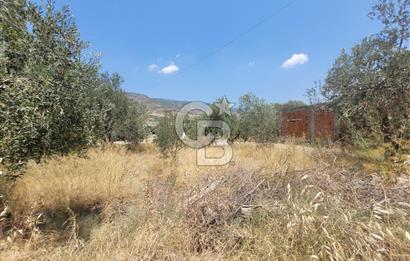Satılık Müstakil Ev ve Arsa