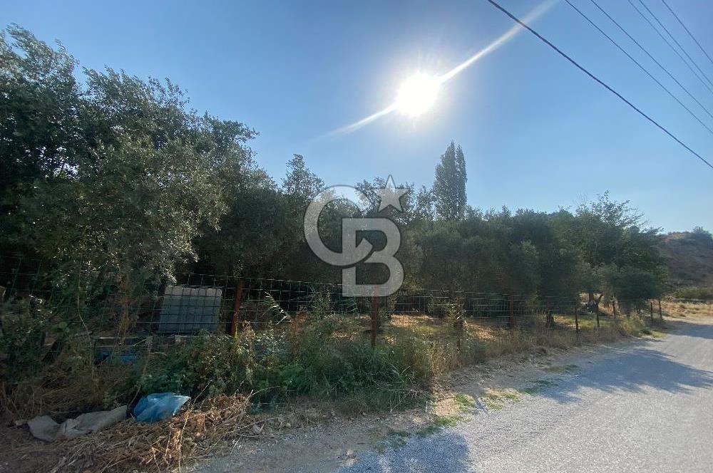 Manisa Ahmetli’de Satılık 388 m2 Bahçe 