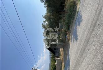 Manisa Ahmetli’de Satılık 388 m2 Bahçe 