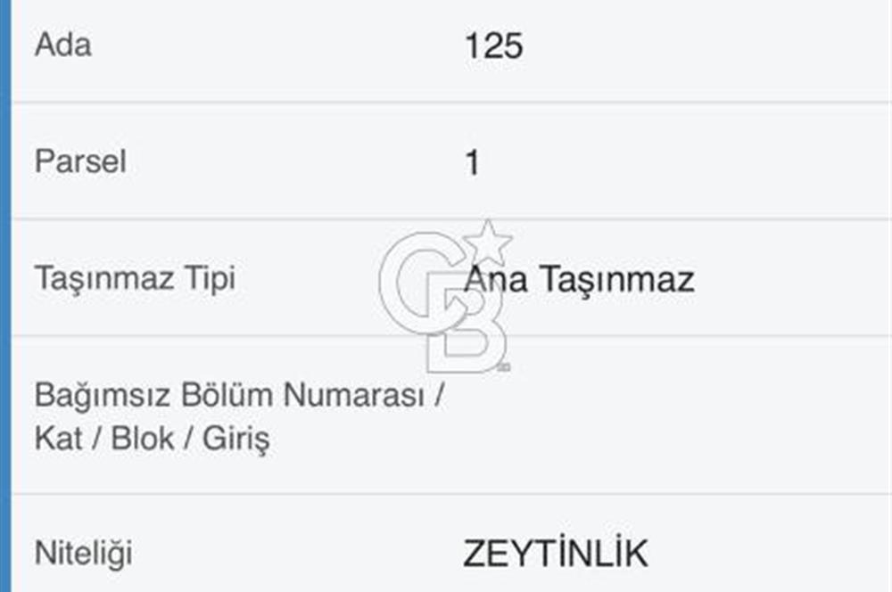 BERGAMA ALİBEYLİ DE 8262 M2 360 AĞAÇLI FIRSAT ZEYTİNLİK