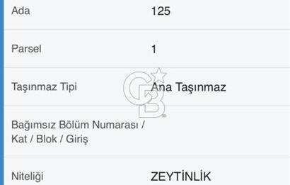BERGAMA ALİBEYLİ DE 8262 M2 360 AĞAÇLI FIRSAT ZEYTİNLİK