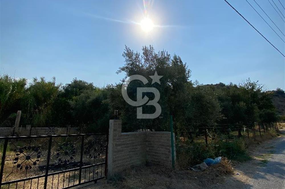 Manisa Ahmetli’de Satılık 388 m2 Bahçe 
