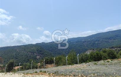 YATIRIM FIRSATI SATILIK ARSA 