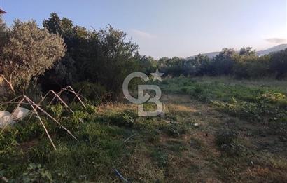ANA YOLA 2. PARSEL KONUMDA ARSALAR 
