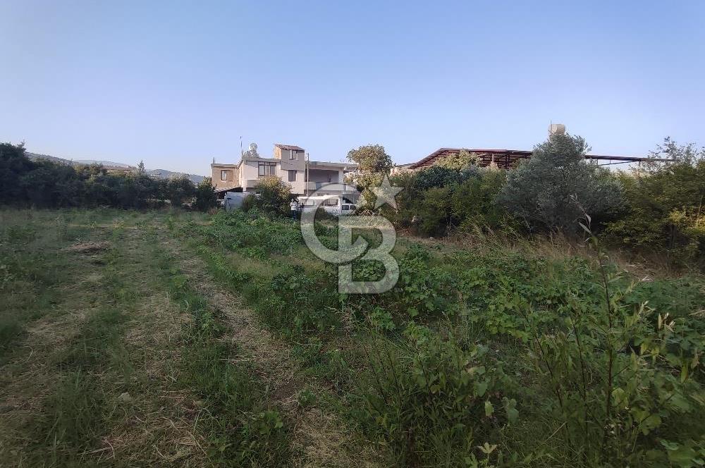 ANA YOLA 2. PARSEL KONUMDA ARSALAR 