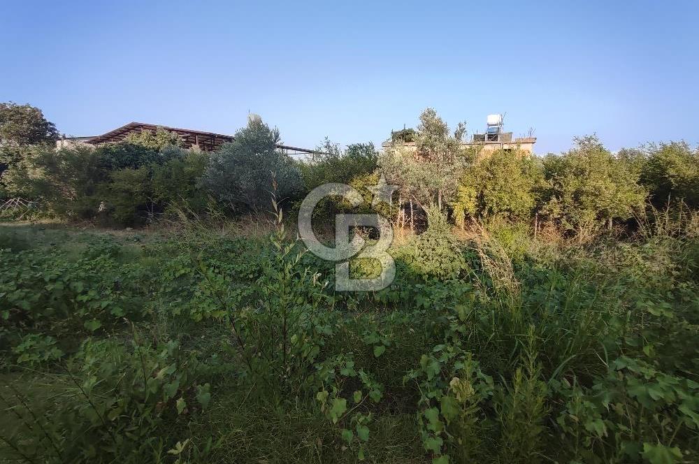 ANA YOLA 2. PARSEL KONUMDA ARSALAR 