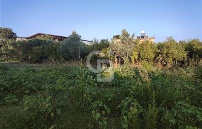 ANA YOLA 2. PARSEL KONUMDA ARSALAR 