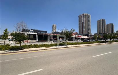 Rota İncek'te Bağlar Cd. Cepheli 150 m2 Kiralık Ofis