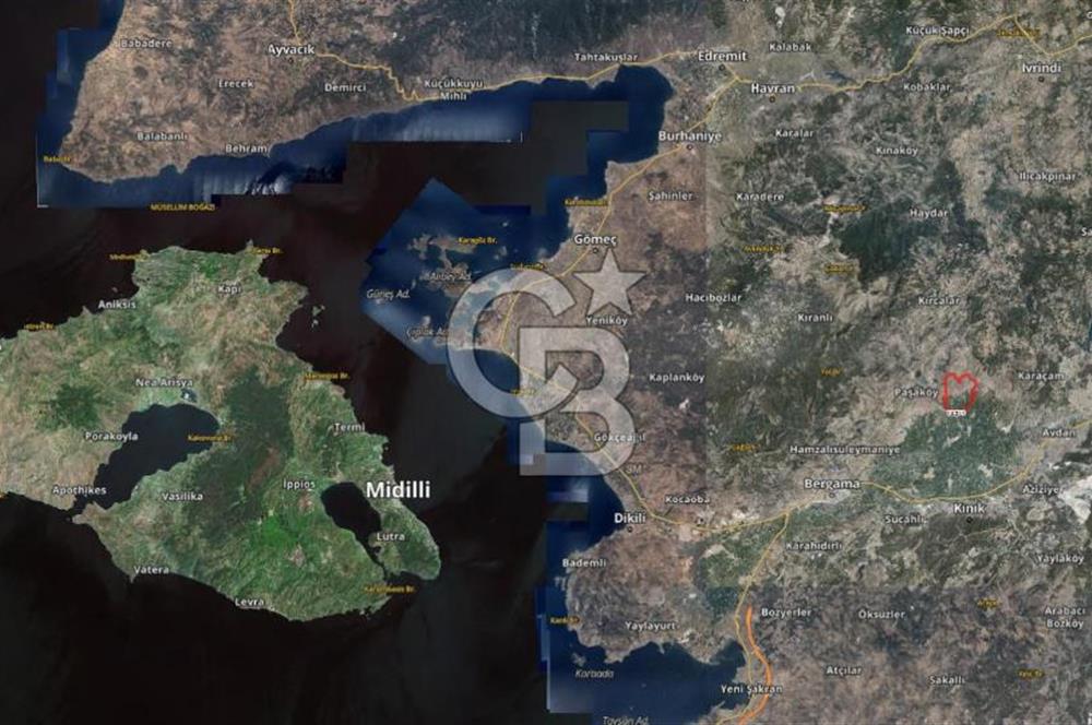BERGAMA ALİBEYLİ DE 8262 M2 360 AĞAÇLI FIRSAT ZEYTİNLİK