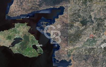 BERGAMA ALİBEYLİ DE 8262 M2 360 AĞAÇLI FIRSAT ZEYTİNLİK