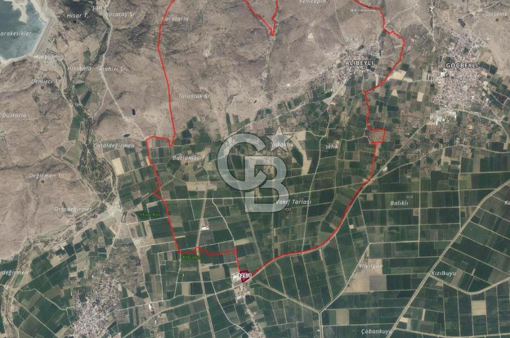 BERGAMA ALİBEYLİ DE 8262 M2 360 AĞAÇLI FIRSAT ZEYTİNLİK
