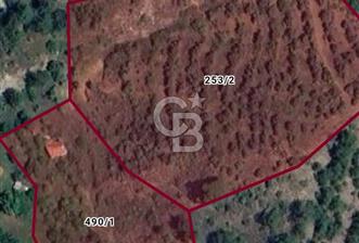Dalaman Gürleyikte 18.116 m² Satılık Tarla 