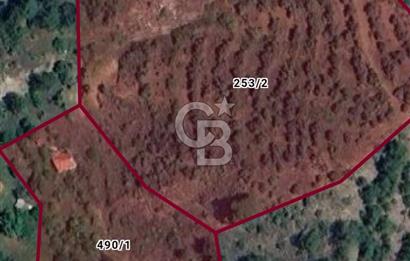 Dalaman Gürleyikte 18.116 m² Satılık Tarla 