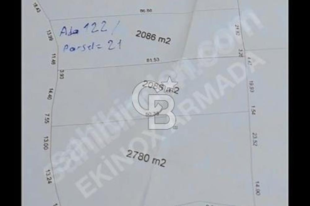 Torbalı Saiplerde Telaş ve Zeytinlik