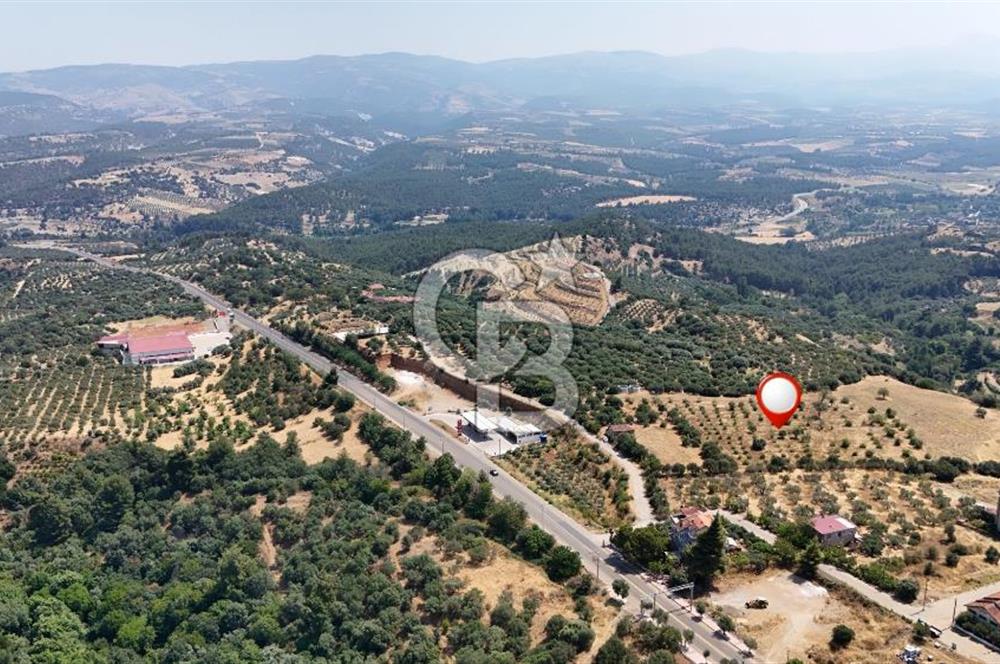 Aydın Karacasuda Satılık İmara Komşu Yatırımlık 31.298m2 Arazi