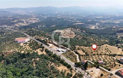 Aydın Karacasuda Satılık İmara Komşu Yatırımlık 31.298m2 Arazi
